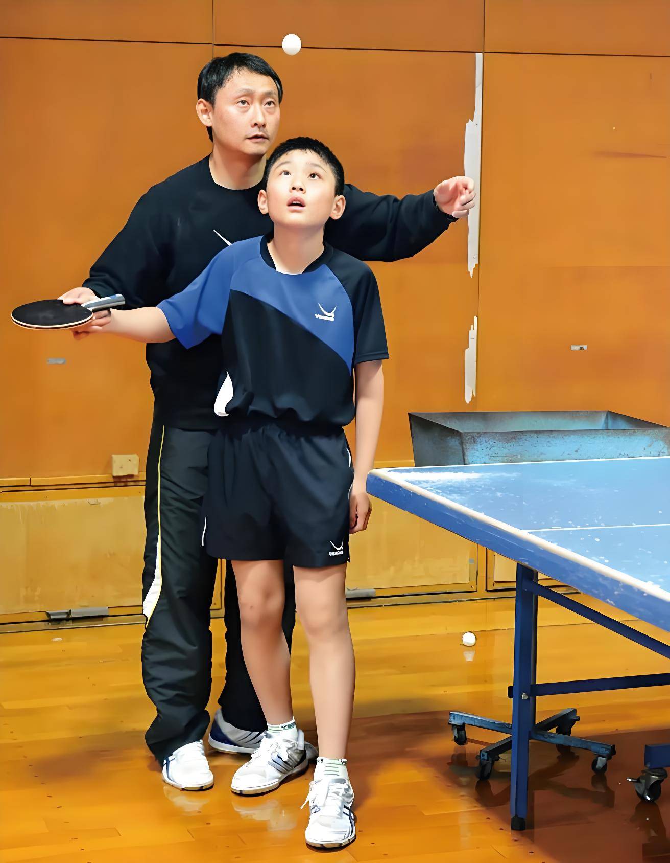 关于法国乒乓球队碾压中国乒乓球队，张本智和统治全场的信息