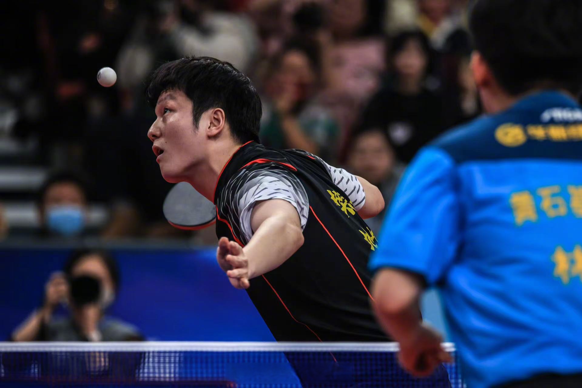 波兰乒乓球队爆冷瑞典乒乓球队，樊振东绝境逆转的简单介绍