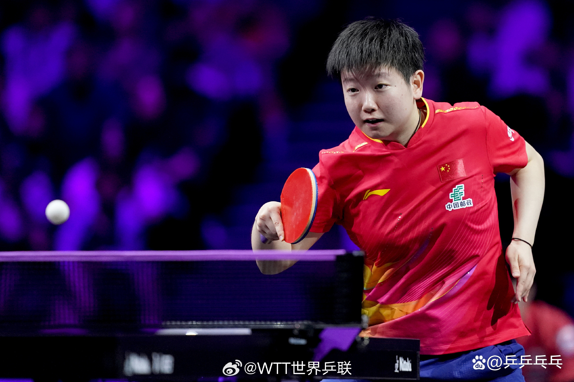 包含来自大洋洲的选手高调晋级半决赛的词条