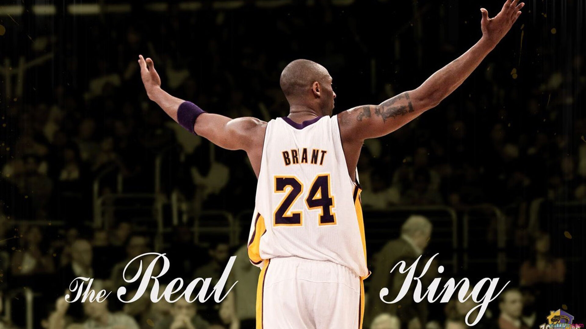 开云足球直播-黑马逆袭！福建队惊天逆转公牛，浓眉哥独木擎天带队取胜